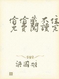偷偷藏不住小说免费阅读完整版