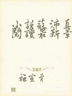 小说苏沛真全文阅读最新章节更新时间