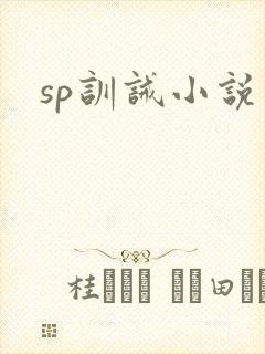 sp训诫小说