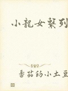 小龙女系列小说