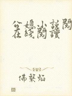 公媳小说阅读器在线阅读封面