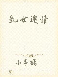 乱世迷情封面