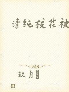清纯校花被c封面