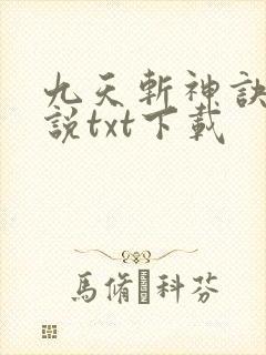 九天斩神诀 小说txt下载