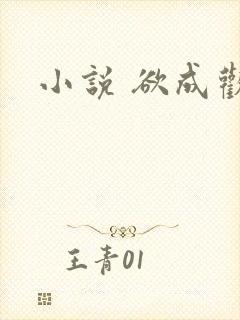 小说 欲成欢
