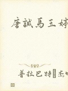 唐诚马玉婷小说封面