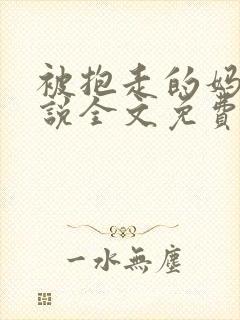 被抱走的妈妈小说全文免费阅读笔趣封面