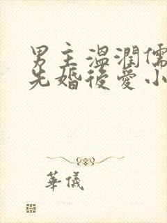 男主温润儒雅的先婚后爱小说