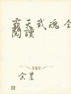 霸天武魂 全文阅读