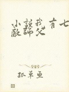 小说我有七个无敌师父