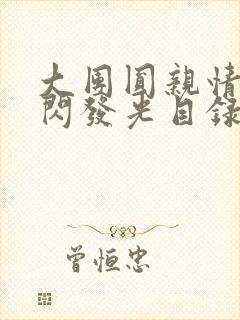 大团圆亲情会闪闪发光目录封面