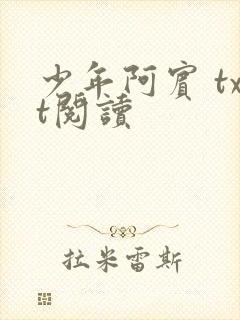 少年阿宾 txt阅读