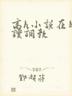 高h小说在线阅读调教