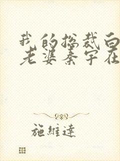 我的总裁白富美老婆秦宇在线阅读小说