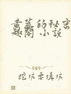 黄蓉的秘密 笔趣阁 小说