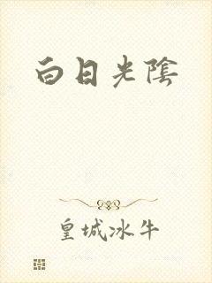 白日光阴封面