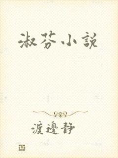 淑芬小说