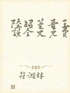 陆昭菱晋王的小说全文免费阅读