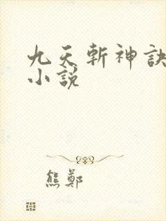 九天斩神诀林辰小说封面