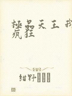 极品天王 我本疯狂封面
