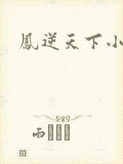 凤逆天下小说