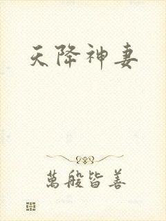 天降神妻