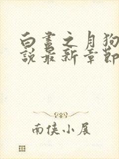 白昼之月狗子小说最新章节免费阅读封面