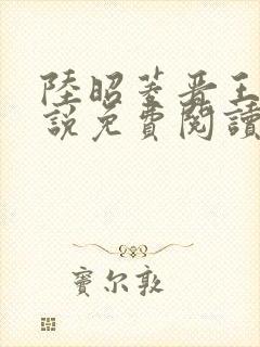 陆昭菱晋王的小说免费阅读