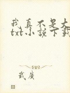 我真不是大魔王txt小说下载