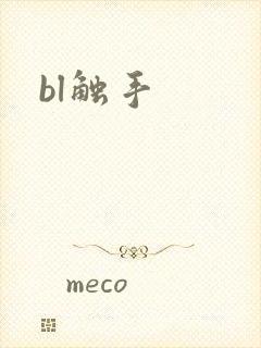bl触手