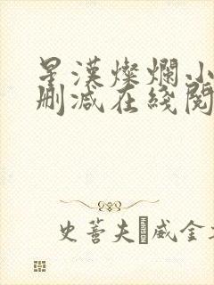 星汉灿烂小说无删减在线阅读封面