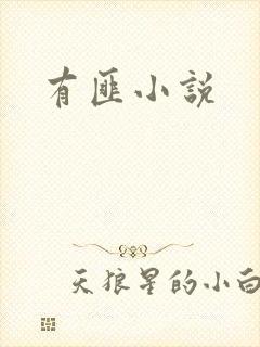有匪小说