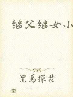 继父继女小说