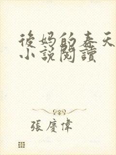 后妈的春天小成小说阅读