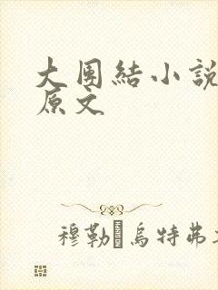 大团结小说阅读原文
