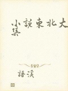 小说东北大炕全集封面