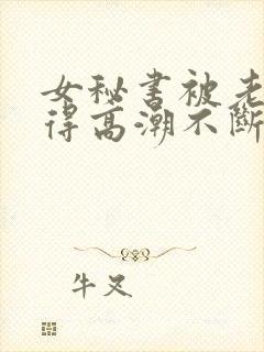 女秘书被老总插得高潮不断小说封面