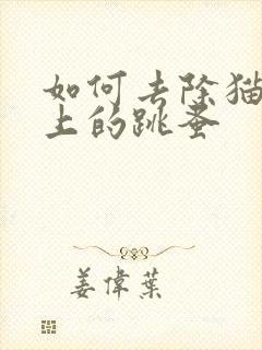 如何去除猫狗身上的跳蚤封面