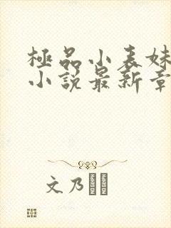 极品小表妹苏晴小说最新章节列表