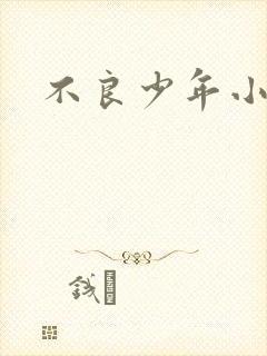 不良少年小说