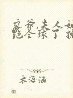 容爷,夫人她惊艳全球了 挽巷