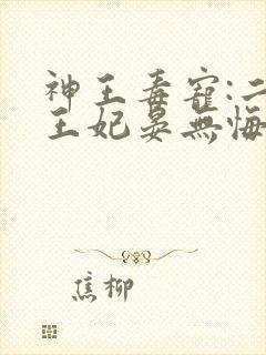 神王毒宠:二嫁王妃晏无悔凤九霄封面