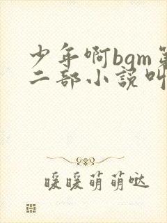 少年啊bgm第二部小说叫什么