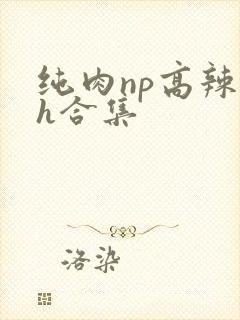 纯肉np高辣文h合集