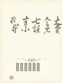 我有七个大佬哥哥小说免费看封面