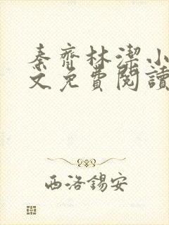 秦齐林洁小说全文免费阅读最新章节封面