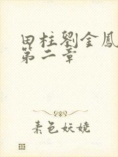 田柱刘金凤小说第二章封面