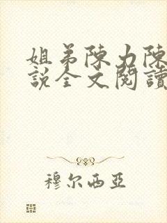 姐弟陈力陈静小说全文阅读
