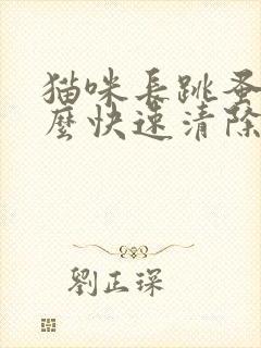 猫咪长跳蚤了怎么快速清除