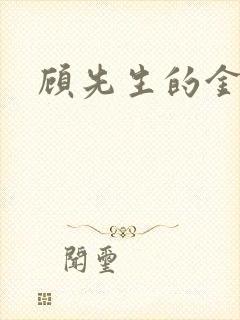 顾先生的金丝雀封面